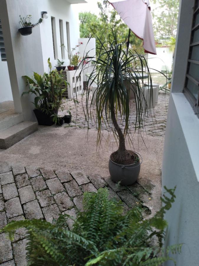 Apartamento Departamentos de la Reina Roja Palenque Exterior foto
