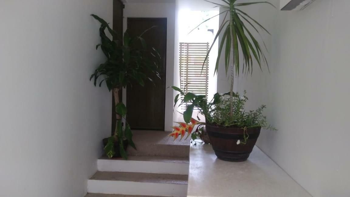 Apartamento Departamentos de la Reina Roja Palenque Exterior foto